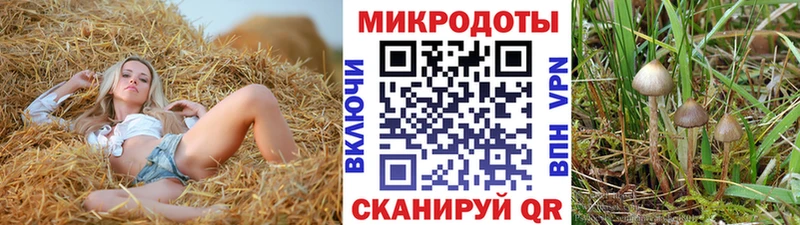 Галлюциногенные грибы мухоморы  Купить где  Зубцов 